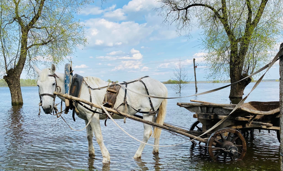 У Чернігові на Десні очікують підйому води на 1,5 метри, у Новгороді-Сіверському – вже затоплює вулиці