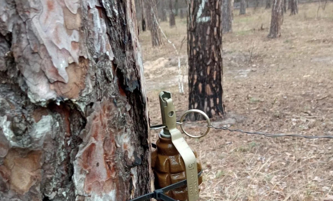 На Чернігівщині заборонили відвідувати ліси: небезпечно для життя