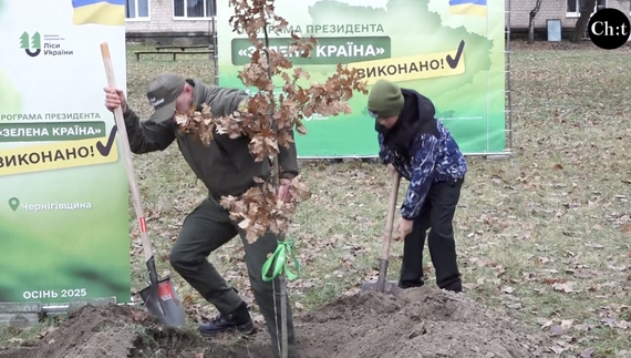 У 2022 році ці вікові дуби на території університету взяли на себе багато уламків, захистивши будівлю