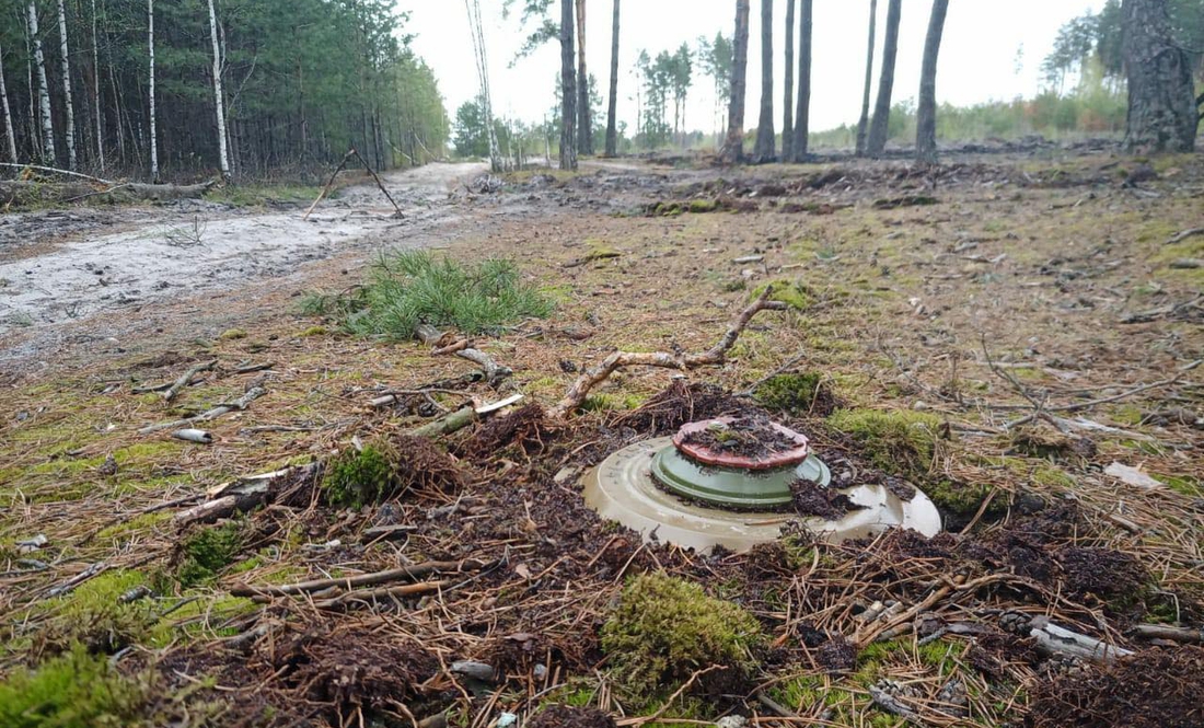 Росіяни знищили природу Чернігівщини на мільярди гривень