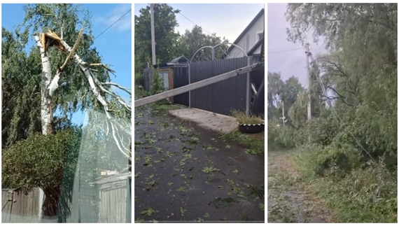 Смерч розкрив 35 хат та корів­ники, повивертав з корінням дерева