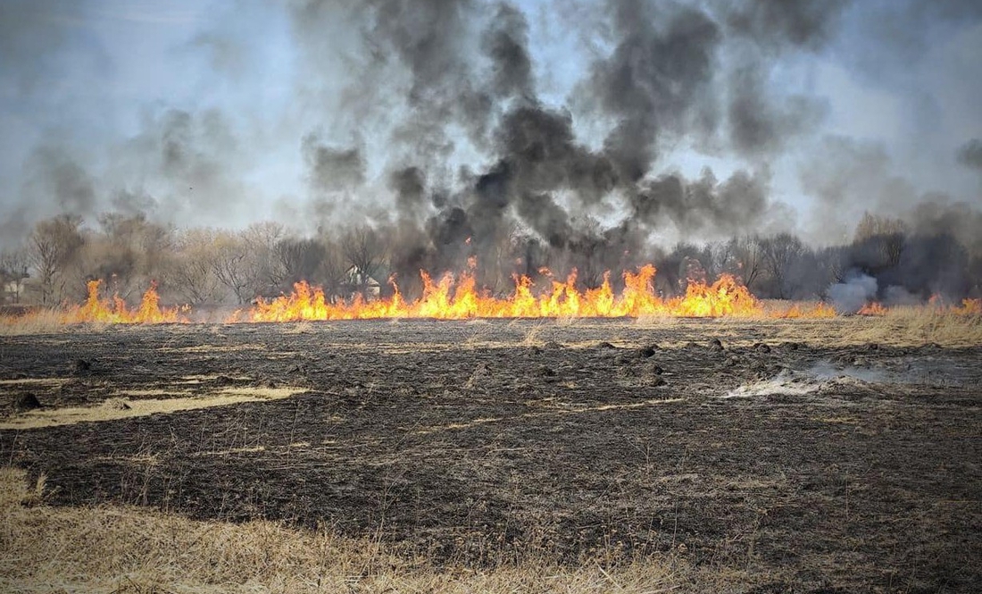 На Чернігівщині загинула жінка через підпал сухої трави