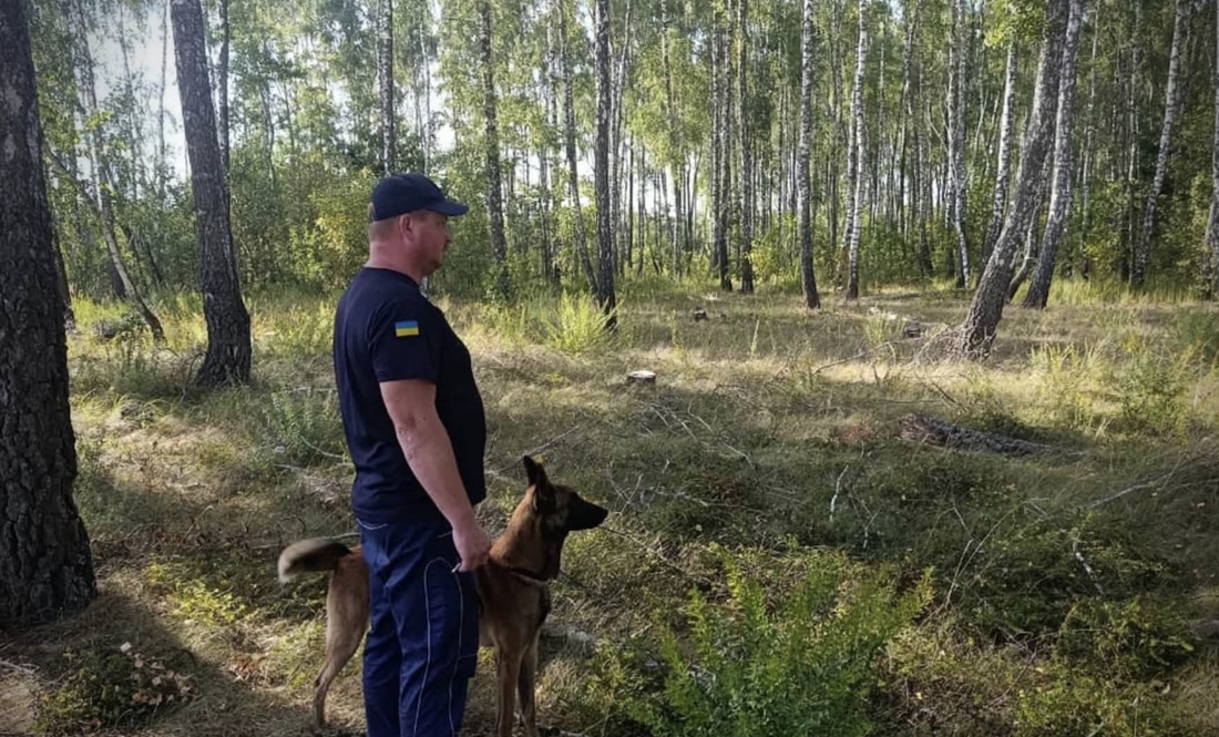 До пошуків підлітка залучали ДСНС та поліцію