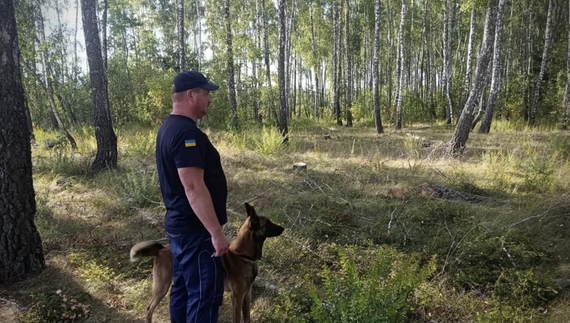 До пошуків підлітка залучали ДСНС та поліцію