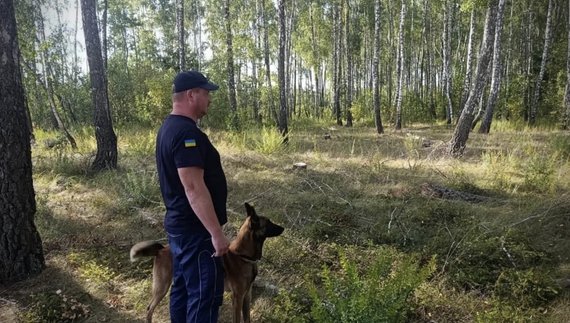 До пошуків підлітка залучали ДСНС та поліцію