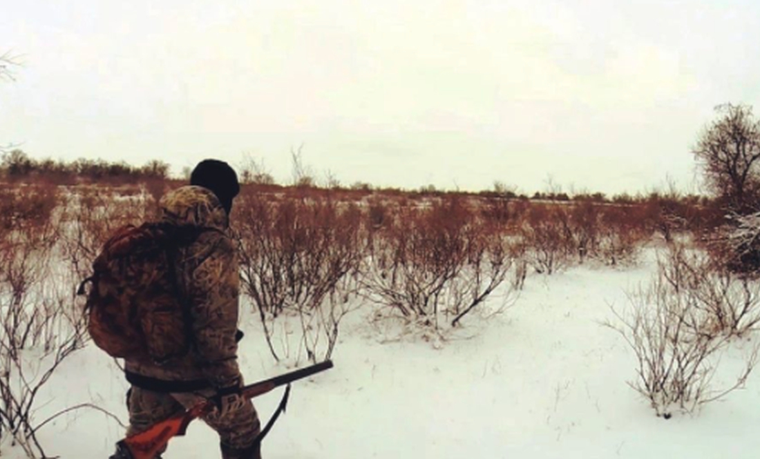 На Чернігівщині дозволили відстріл одного з хижаків. Фото ілюстративне