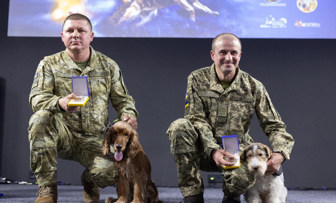 15 грудня 2024 року в Києві відбулася друга церемонія нагородження «Собаки-герої України».