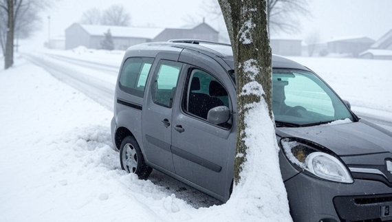 Смертельна ДТП на Чернігівщині: водій Renault Kangoo загинув на місці