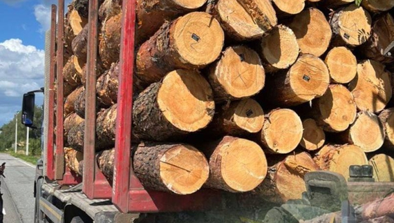 На Чернігівщині патрульні викрили дві спроби незаконного перевезення деревини