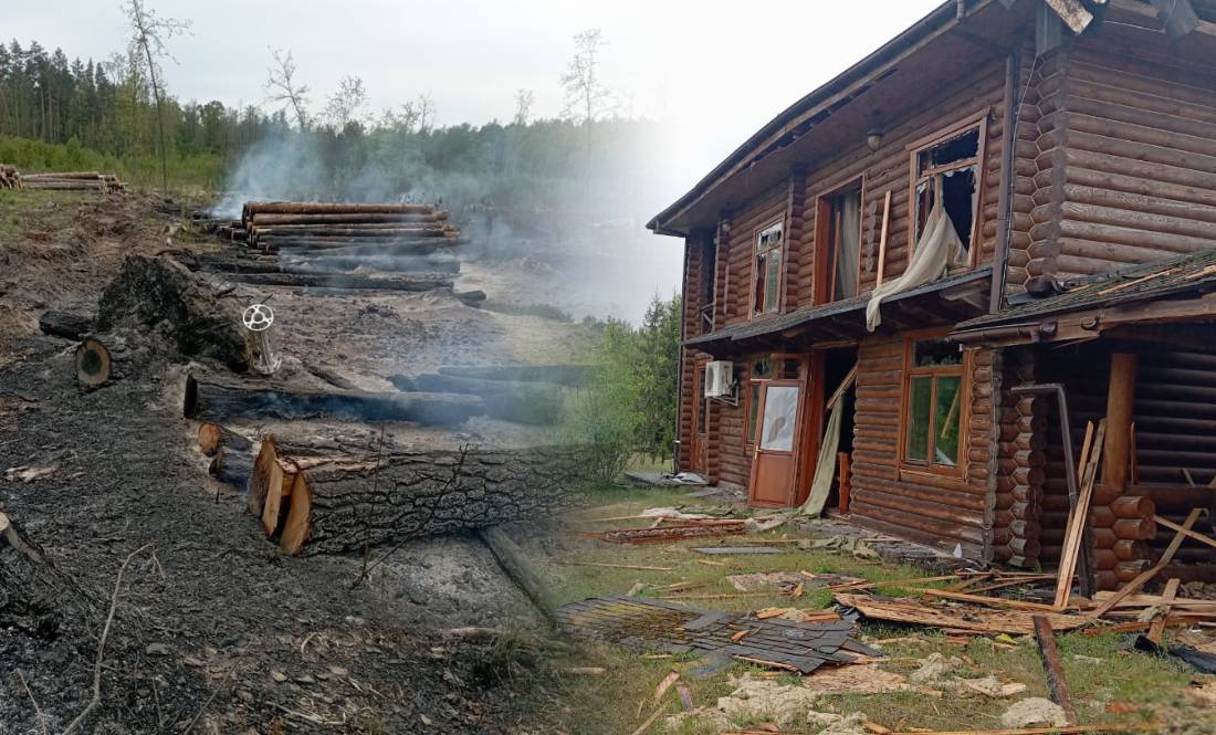 Дрон вдарив по лісу й офісу, село згоріло вщент: як живе найпівнічніше лісництво Чернігівщини