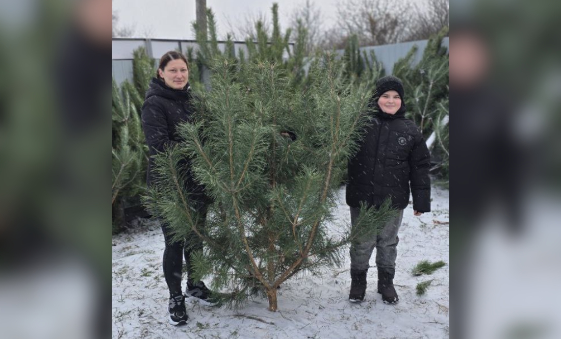 Донатили по 20–100 грн: на Чернігівщині підприємець роздав 400 сосен