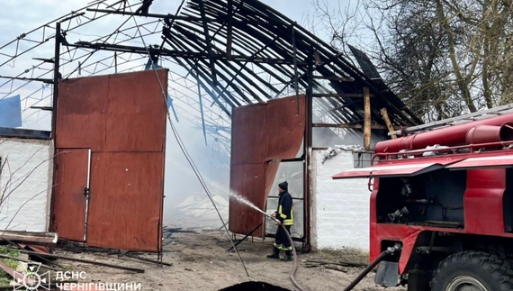Дрони знищили фермерське господарство: наслідки атак на Чернігівщині