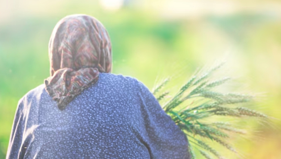 «Їсточки собі зварю і ще комусь»: бабуся з Чернігівщини запрошує до себе переселенців