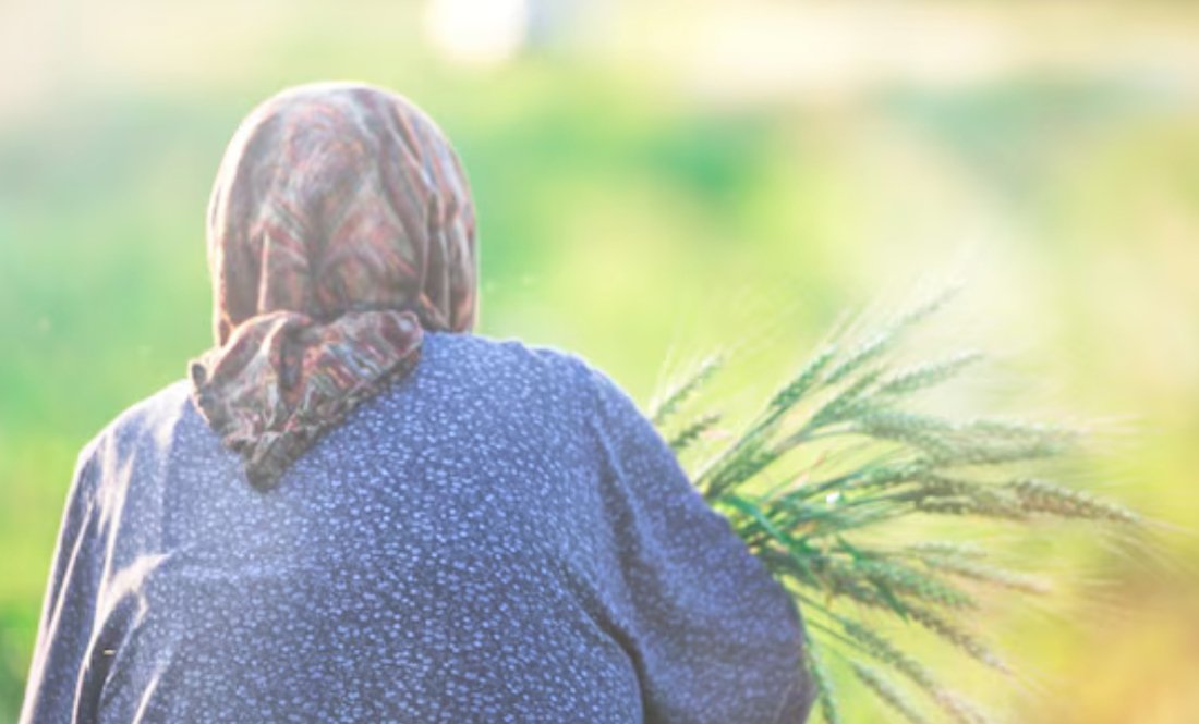 «Їсточки собі зварю і ще комусь»: бабуся з Чернігівщини запрошує до себе переселенців