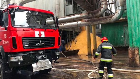 В селі на Чернігівщині згоріло дві тонни кукурудзи
