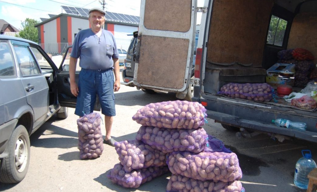 Картоплю на Чернігівщині приймають азербайджанці: почім