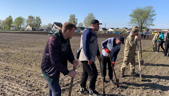 У Менській громаді облаштовують лісопаркову зону