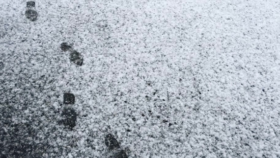 Мокрий сніг: на Чернігівщині попередили про погіршення погодних умов. Фото ілюстративне