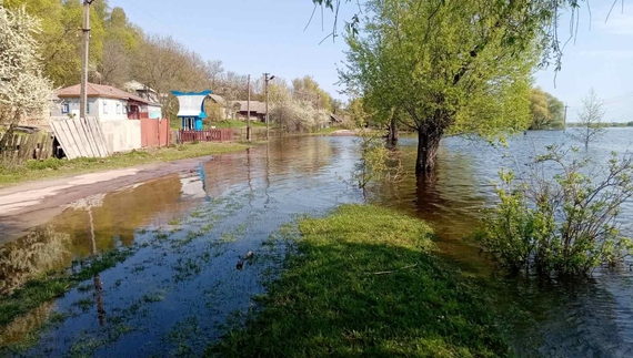 Повінь на Новгород-Сіверщині: у які села добираються в об'їзд чи на човнах