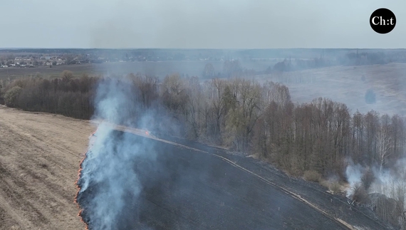 За тиждень - 252 пожежі в екосистемах