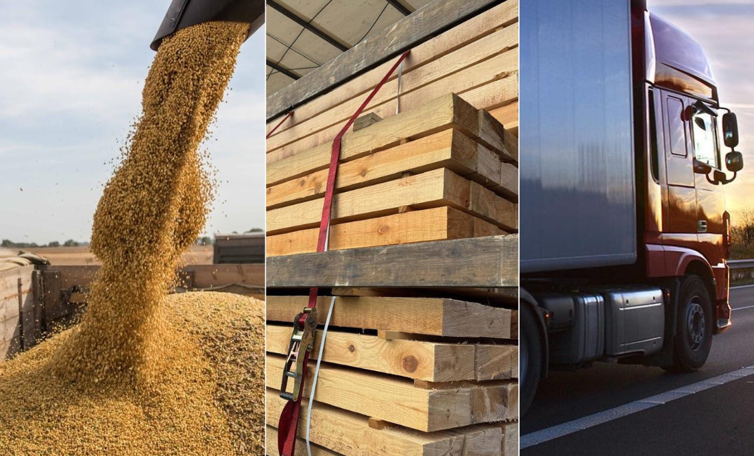 Зерно, продукти і деревина: що найбільше експортує Чернігівщина світові