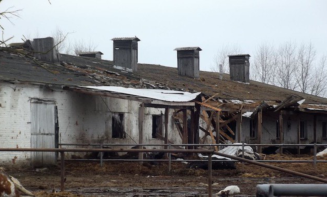 Росіяни знищили під Черніговом фермерське господарство, яке будувалося 17 років. Збитків на $700 тис.