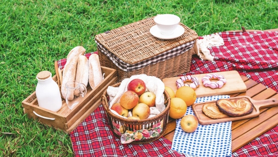 Пікнік у Києві 2026: ідеї для відпочинку на природі