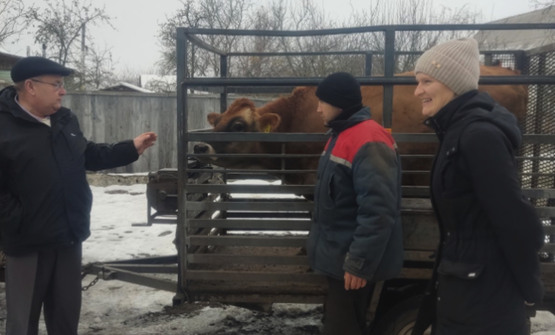 На Чернігівщині три багатодітні родини з отримали корів безкоштовно: як це працює