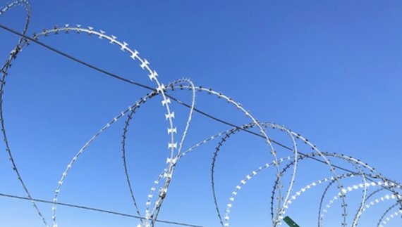 Дніпро загородили: козулі раняться, лосі йдуть напряму