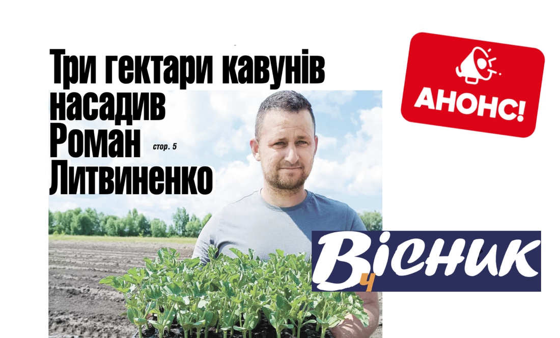 Чоловік з Чернігівщини насадив 3 гектари кавунів. Читайте у "Віснику" 27 червня