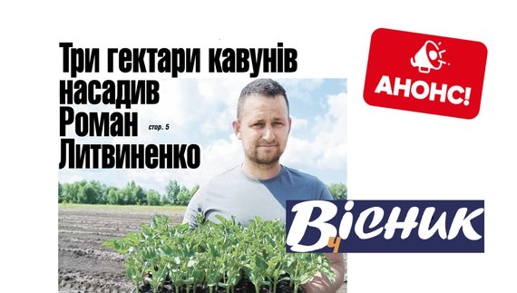 Чоловік з Чернігівщини насадив 3 гектари кавунів. Читайте у "Віснику" 27 червня