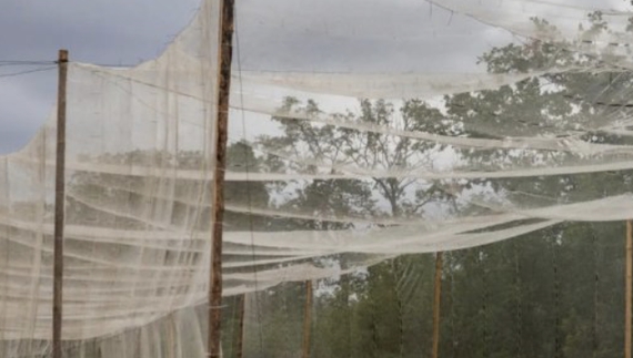 На Чернігівщині почали облаштовувати сітки на дорогах для захисту від дронів