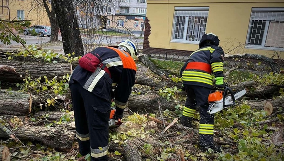 Негода наробила лиха на Чернігівщині – рятувальники ліквідують наслідки стихії