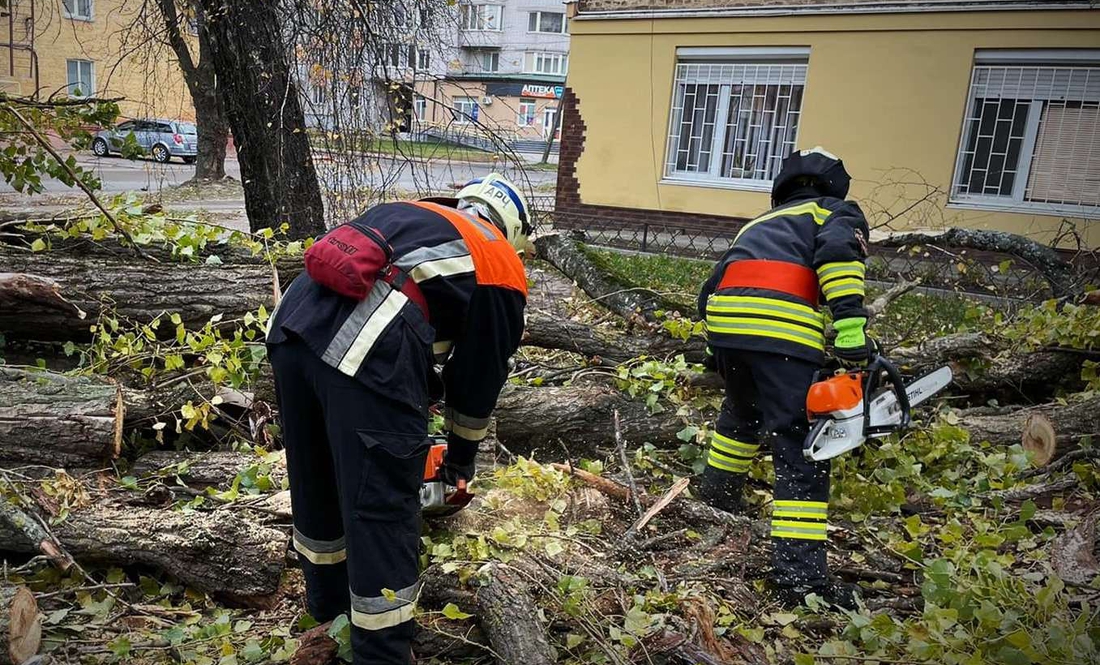 Негода наробила лиха на Чернігівщині – рятувальники ліквідують наслідки стихії