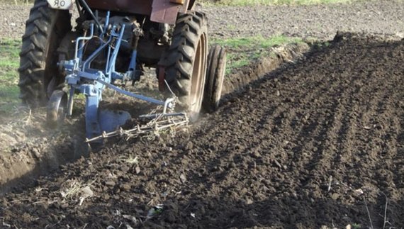 Два роки оре людям грядки: скільки бере за сотку