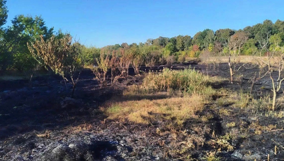 Держекоінспекція виявила у Ріпкинській громаді чоловіка, який підпалював суху траву на своїй ділянці