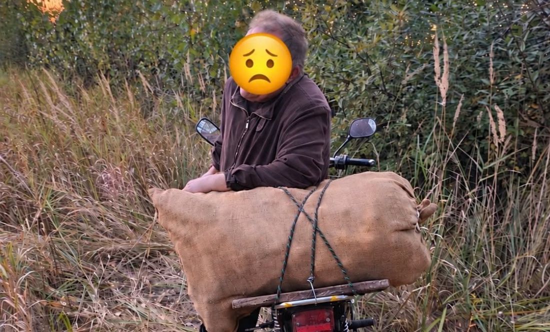 На Чернігівщині місцеві збирають кукурудзу на полях агрокомпанії: фермер пригрозив поліцією