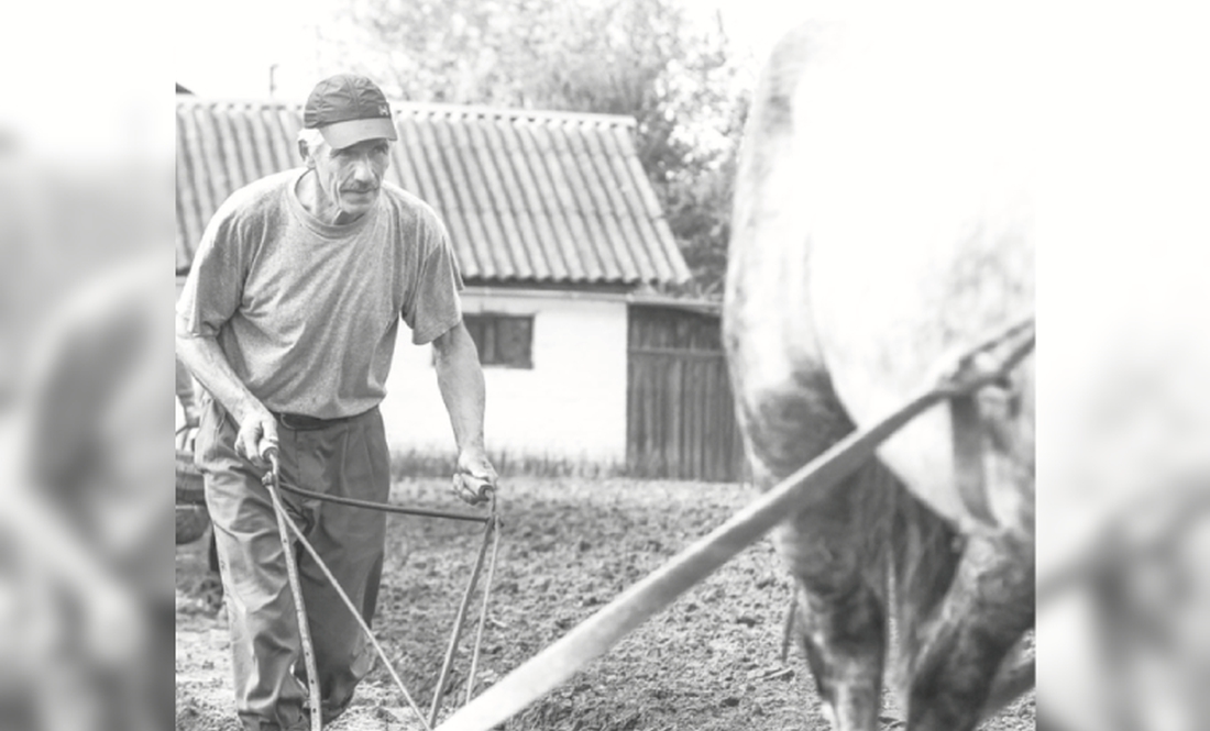 Василь Очкур з Чернігівщини свій город біля хати оре кіньми