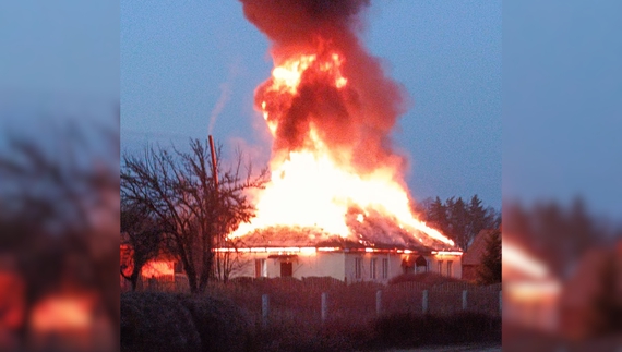 На Чернігівщині палає лісництво після атаки FPV-дронів