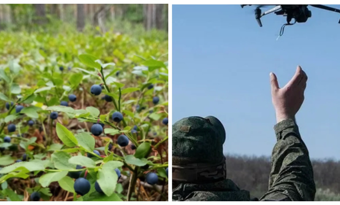 Жінку вполював ворожий дрон: поїхала скутером по чорниці