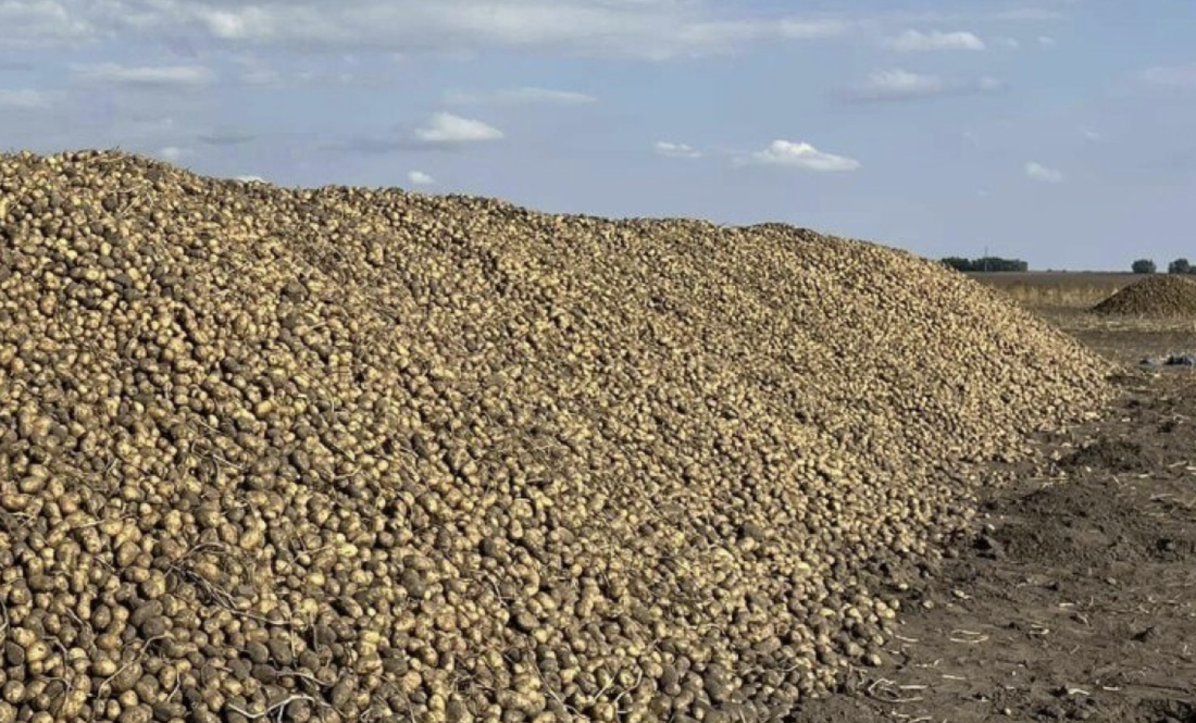 Іван Васильєв 620 кіло картоплі виміняв на мішок цукру і п’ятилітровку олії