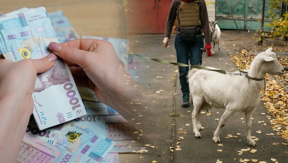 Гроші на евакуацію з худобою: Червоний Хрест допоможе жителям Чернігівщини