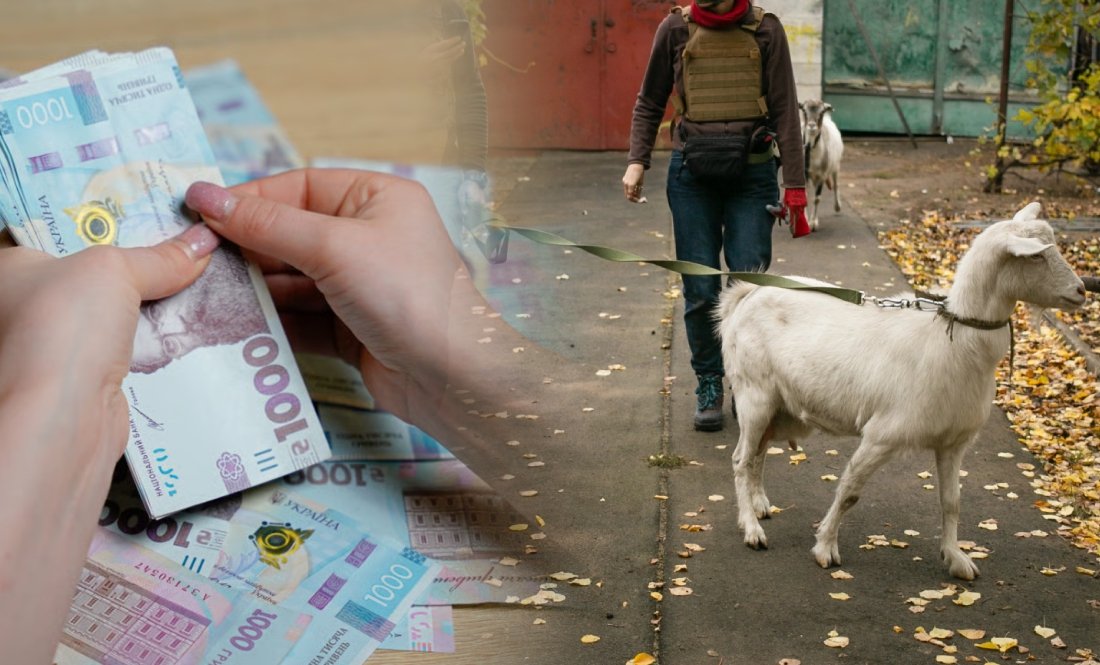 Гроші на евакуацію з худобою: Червоний Хрест допоможе жителям Чернігівщини
