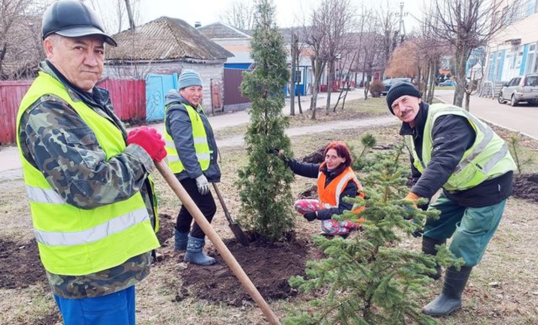 Фахівці ЖКГ висаджують у ґрунт ялини та туї