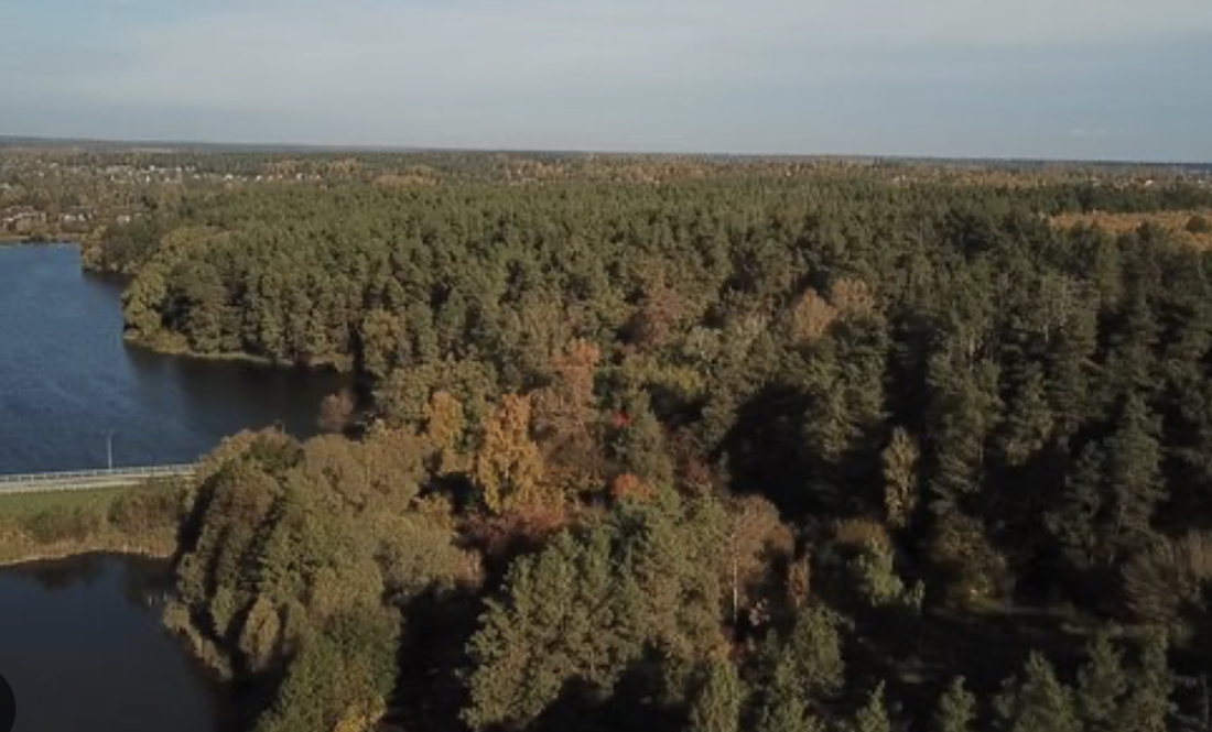 У Чернігові в лісопарку знайшли мертвого чоловіка