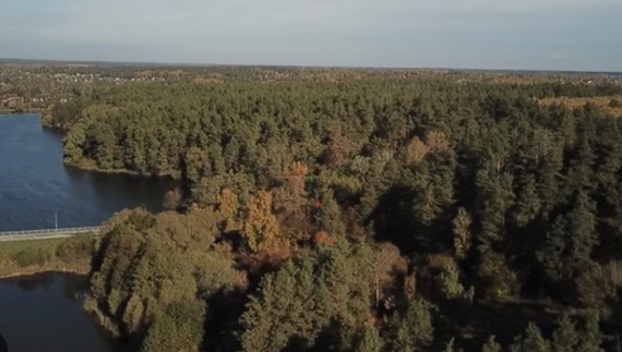 У Чернігові в лісопарку знайшли мертвого чоловіка