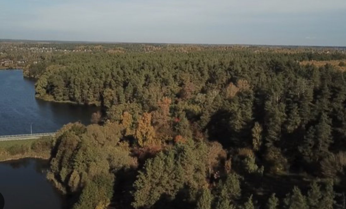 У Чернігові в лісопарку знайшли мертвого чоловіка