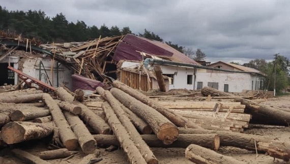 Країна-терорист тепер воює і з лісгоспами: бомбовий удар по Чернігівщині