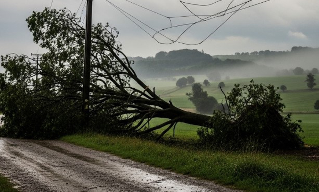 На Чернігівщині залишаються знеструмленими понад 600 споживачів через негоду