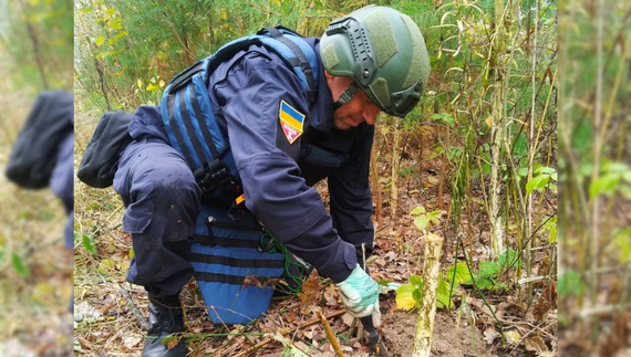 На Ніжинщині триває розмінування лісу